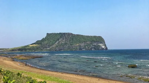 관측 자료